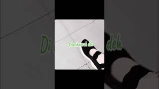 SEPATU RAJUT WANITA cover music dangdut affiliatemarketing [upl. by Skcirdnek]