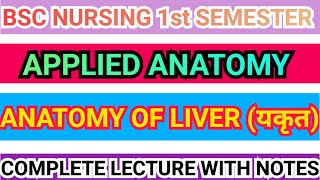 LIVER ANATOMY  APPLIED ANATOMY  BLOOD AND NERVE SUPPLY  BSC NURSING  1ST SEM [upl. by Odlanyer]