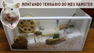 Montando terrário natural para hamster [upl. by Aileno]