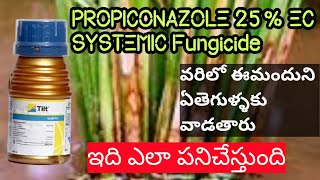 PROPICONAZOLE 25 EC SYSTEMICFungicide వరిలో పాముపొడ తెగులు నివారణhmrTELUGUAGRICULTURE [upl. by Eniarda605]