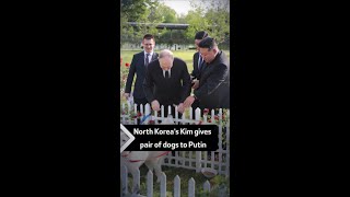 North Korea’s Kim gives pair of dogs to Putin [upl. by Ecirb]