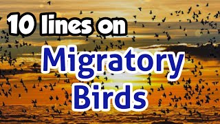 migratory birds short notes 10 lines on migratory birds in India migratory birds essay in English [upl. by Lenzi]