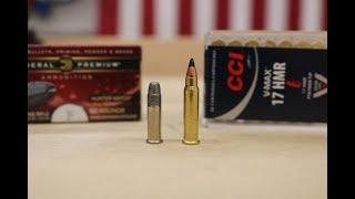 Rimfire Shootout Savage BSeries 17 HMR vs 22 LR [upl. by Anavahs]