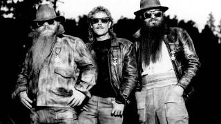 ZZ Top  Thunderbird Live [upl. by Sert]