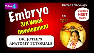 EMBRYO third week Development HUMAN EMBRYOLOGY கருமூன்றாம் வார வளர்ச்சி ENGLISHTAMIL CLASS4 [upl. by Spear]