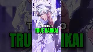 Adult Hitsugaya Toshiro True Matured Bankai Explained  Bleach Tybw Adult Toshiro Bankai [upl. by Asela]