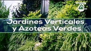 Jardines Verticales y Azoteas Verdes [upl. by Noevad]