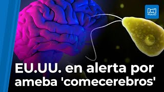 Ameba comecerebros contamina el agua en Texas EEUU [upl. by Aicenek]