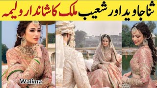 sana Javed amp Shoaib Malik first waleema look shoaibmalikwedding sanajaved saniamirza [upl. by Romaine193]