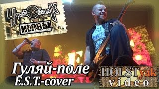 Чёрный обелиск  Гуляйполе ESTcover 10летие альбома quotНервыquot Москва Hall 21032014 69 [upl. by Weisberg]