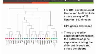 Transcriptome Sequencing and Designing SNP Array [upl. by Aniahs212]