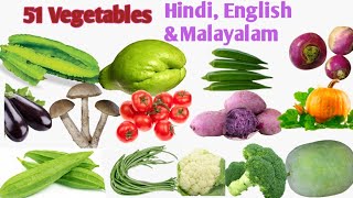 Learn 51 Vegetable Names in Hindi English amp Malayalam  Name of Vegetables in three Languages [upl. by Drawoh]