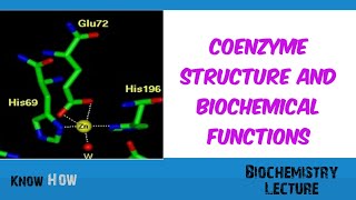 Coenzyme structure and Biochemical functions [upl. by Annelg]