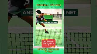 Hướng dẫn kỉ thuật Flick Pro trong pickleballxuhuong pickleball pickleballskills hocpickleball [upl. by Annia]