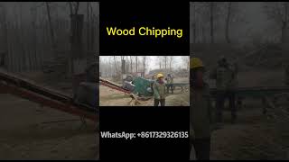 From Logs to Mulch Witness the Power of Our Industrial Wood Chipper woodworking woodmachine wood [upl. by Nareht]