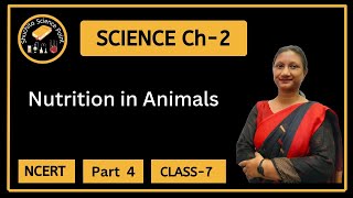 Class 7  Science  Chapter 2  Nutrition in Animals  NCERT  Part 4 [upl. by Siol]