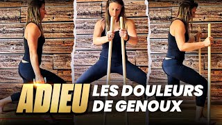 🦵RENFORCEMENT MUSCULAIRE adapté GENOU douloureux avec progressions [upl. by Rehpotsrhc]