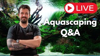 Aquascaping QampA Livestream [upl. by Hgielanna]