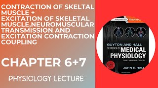 Physiology chapter 6 7  Contraction and Excitation Of Skeletal Muscle  Study Guyton with me [upl. by Kirchner]