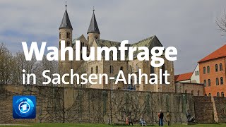 SachsenAnhalt Umfrage vor der Landtagswahl [upl. by Burnight369]