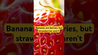 Bananas are berries but strawberries aren’t FruitFacts FoodScience Botany MindBlown FunFacts [upl. by Eseuqcaj]