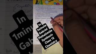 🔥Gabriel phthalimide synthesis amines class 12 chemistry class 12th chemistry GPS Method [upl. by Madonia]