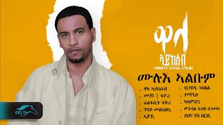 ela tv  Temesgen Gselassie  Taniqo  Wala Aykeseb  Vol 1  ሙሉእ ኣልቡም  1 Hour  Relaxing Video [upl. by Normie]