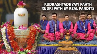 Rudrashtadhyayi Paath  Complete Rudri Path  Rudram Namakam Chamakam by North Indian Brahmins [upl. by Liartnod]