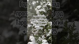 ПРОГНОЗ НА ЗИМУ ЧТО ЖДЕТ ЗИМОЙ Анонс таро будущее прогноз гадание тарогадание раскладтаро [upl. by Josh]