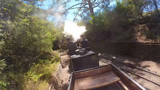 Redwood Valley Railway Tilden Steam Train [upl. by Halie88]