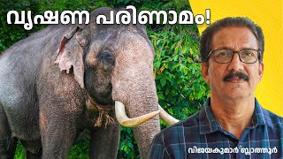 ആനകളുടെ വൃഷണം എവിടെ The mystery of elephant testes ആനക്കാര്യം elephant animals malayalam [upl. by Tala]