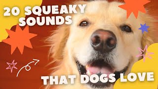 20 Squeaky Sounds that Dogs Love [upl. by Aisak968]