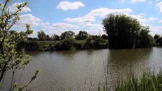 PAWLETT PONDS PAWLETT BRIDGWATER SOMERSET [upl. by Britney271]