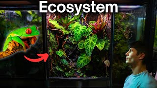 I Made a Jungle Terrarium For a Tiny Frog Here’s How [upl. by Aimehs]