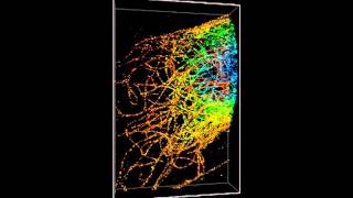 ZEISS ELYRA 3DPALM of microtubules 6 micron multiplane [upl. by Naic]