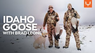 Idaho Goose with Brad Leone  Cal in the Field [upl. by Devi]