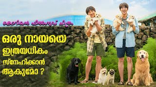 ഒരു നായയെ ഇത്രയധികം സ്നേഹിക്കാനാകുമോ  My Heart Puppy Explained In Malayalam kdrama movies film [upl. by Hertha]