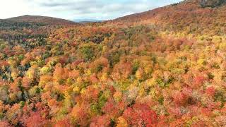 New England Aerial Fall Foliage  Westmore Vermont  October 2 2024 [upl. by Lirbaj]