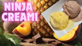 Ninja CREAMi making Ice Cream and Sorbet using simple ingredients  Easy Ice Cream Maker [upl. by Bradley]