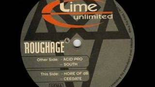 Roughage  South 1994 Hardtrance [upl. by Aenotna839]