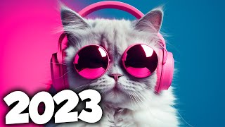 A MELHOR MUSICA ELETRONICA 2023 🔥 MÚSICAS ELETRÔNICAS MAIS TOCADAS  Alok Tiesto amp David Guetta [upl. by Frick]