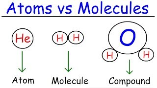 Elements Atoms Molecules Ions Ionic and Molecular Compounds Cations vs Anions Chemistry [upl. by Waxman803]