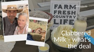 What the Heck is Clabbered Milk [upl. by Ceporah]