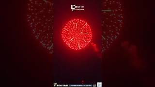 Top 6 most beautiful FIREWORKS shells 2024 shorts fireworks experiment pyro [upl. by Oderf]