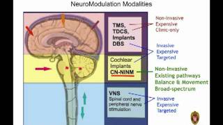 Tactile Communication Neurorehabilitation Laboratory TCNL Update [upl. by Nnaasil]