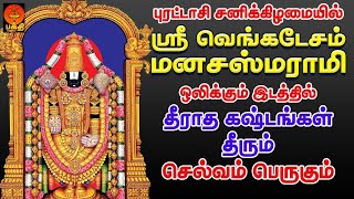 புரட்டாசி சனிக்கிழமையில் ஸ்ரீ வெங்கடேசம் மனசா ஸ்மராமி ஒலிக்கும் இடத்தில் தீராத கஷ்டங்கள் தீரும் [upl. by Monia]