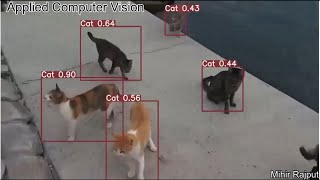 object detection  cat detection [upl. by Audsley]