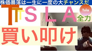 TSLAテスラ株 「買い叩け」【全力】 株価暴落は一生に一度のバーゲンセールだ‼︎買いまくれ‼︎ [upl. by Rhody]