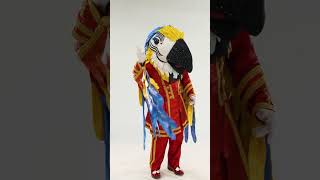 meet the macaw themaskedsinger 360 [upl. by Sexton]