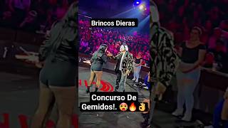 Concurso de Gemidos  Brincos Dieras brincosdieras viral video trending pubgmobile chamoy [upl. by Ayhtnic]